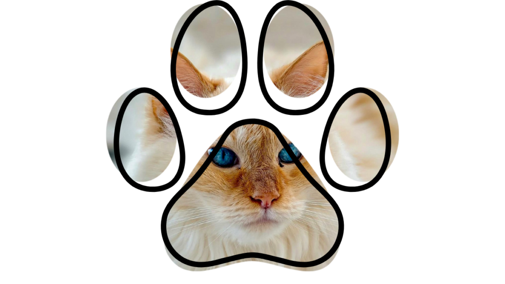 A cat's face with blue eyes seen through a black paw print shape.