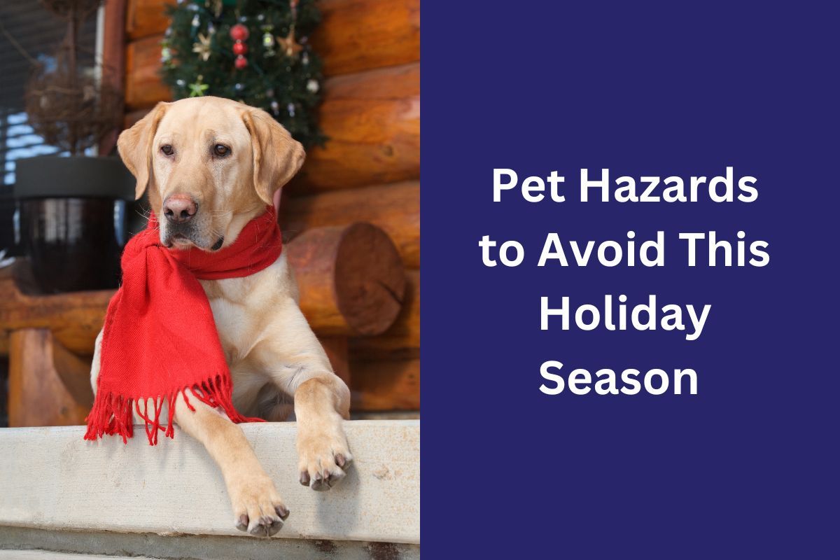 A dog wearing a red scarf sits on a porch next to a holiday-themed sign.