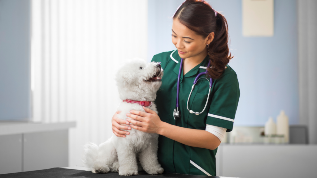 Veterinarian in a green uniform gently examining a fluffy white dog on a table.
