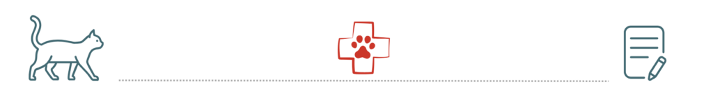 Silhouette of a cat, a red medical cross with a paw print, and a notepad with a pencil icon.