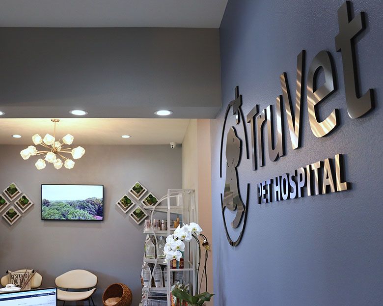Interior of a pet hospital with modern decor, featuring a wall sign, plants, and seating area.