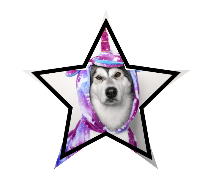 Dog in a unicorn costume representing pet myths heard at TruVet Pet Hospital in Frisco, TX