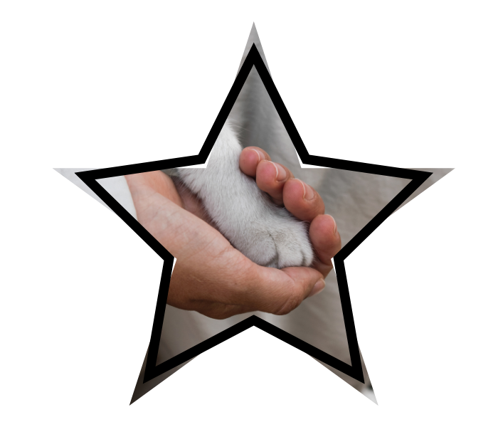 A human hand holding a cat paw, showing compassionate veterinary care at TruVet Pet Hospita