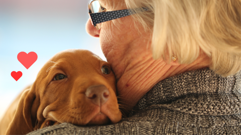New puppy bonding being held by an owner with support from TruVet Pet Hospital